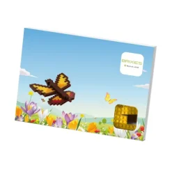 Schäfer Toy Company GmbH Postkarten*BRIXIES 220041 - Postkarte Schmetterling, 3D Konstruktionsbausatz aus Ministeinen, 125 Teile