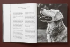 Taschen GmbH Künstler:Innen Im Fokus-Bruce Weber. The Golden Retriever Photographic Society