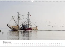 Büsum - Urlaub an der Nordsee (Wandkalender 2026 DIN A3 quer), Monatskalender*Calvendo Best