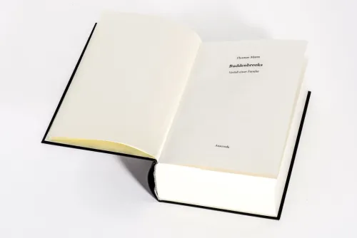 Anaconda Verlag Tagebücher-Buddenbrooks. Verfall einer Familie. Roman