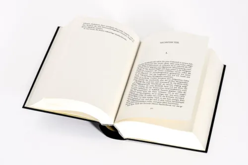 Anaconda Verlag Tagebücher-Buddenbrooks. Verfall einer Familie. Roman