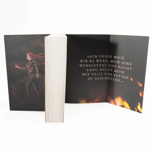 Rowohlt Taschenbuch Romantasy*Burning Crown