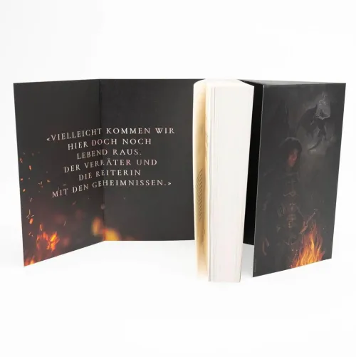 Rowohlt Taschenbuch Romantasy*Burning Crown