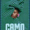Abrams & Chronicle Books Mode & Design-Camo