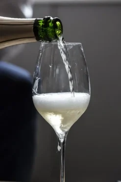 AT Verlag Wein & Getränke-Champagner - das Buch