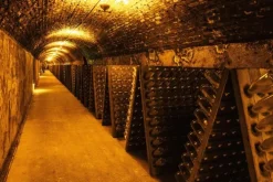 AT Verlag Wein & Getränke-Champagner - das Buch