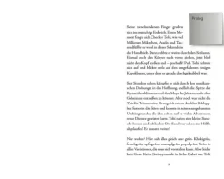 cbj 6-10 Jahre*Checker Tobi 3: Die heimliche Herrscherin der Erde