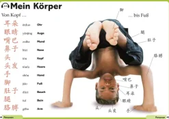 Chinesisch superleicht*Dorling Kindersley Verlag Clearance