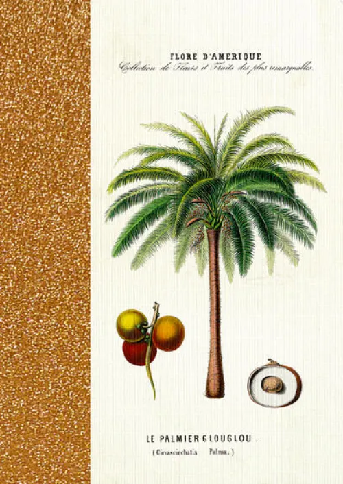 Coppenrath Verlag Notizbücher & -Blöcke-Coppenrath - Sammlung Augustina - Notizhefte DIN A6, sort.