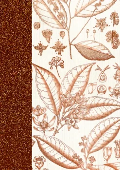 Coppenrath Verlag Notizbücher & -Blöcke-Coppenrath - Sammlung Augustina - Notizhefte DIN A6, sort.