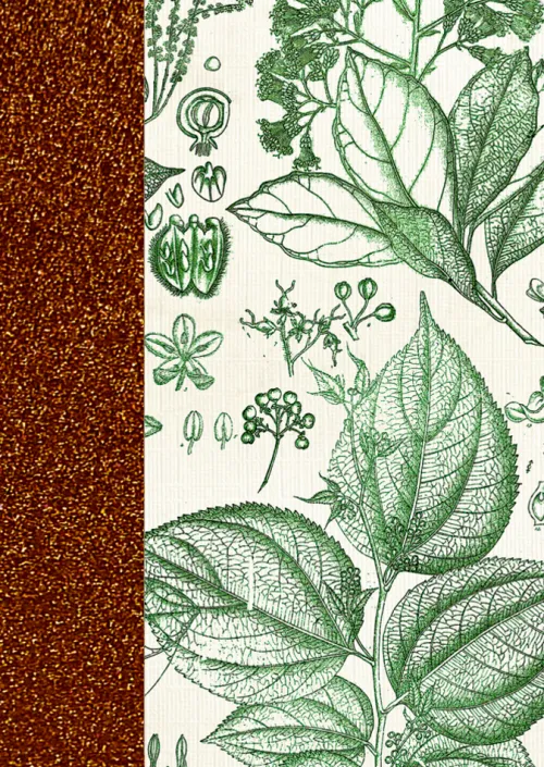 Coppenrath Verlag Notizbücher & -Blöcke-Coppenrath - Sammlung Augustina - Notizhefte DIN A6, sort.