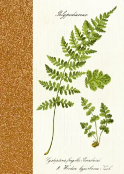 Coppenrath Verlag Notizbücher & -Blöcke-Coppenrath - Sammlung Augustina - Notizhefte DIN A6, sort.