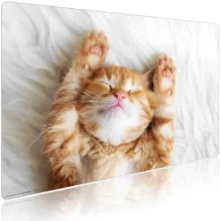 Cover-your-desk Schreibtischunterlagen-Schreibtischunterlage für Kinder und Erwachsene Süßes Katzenbaby beim Schlafen, aus hochwertigem Vinyl , 60 x 40 cm