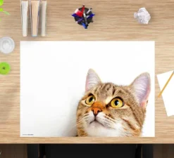 Cover-your-desk Schreibtischunterlagen-Schreibtischunterlage für Kinder und Erwachsene Katzenblick, aus hochwertigem Vinyl , 60 x 40 cm
