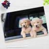 Cover-your-desk Schreibtischunterlagen*Schreibtischunterlage für Kinder und Erwachsene Golden Retriever Welpen, aus hochwertigem Vinyl , 60 x 40 cm