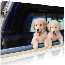 Cover-your-desk Schreibtischunterlagen*Schreibtischunterlage für Kinder und Erwachsene Golden Retriever Welpen, aus hochwertigem Vinyl , 60 x 40 cm