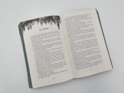 Credence - Sie ist tabu, doch Liebe kennt keine Regeln*Piper Verlag GmbH Hot