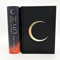 Crescent City - Wenn die Schatten sich erheben*dtv Verlagsgesellschaft