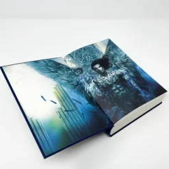 Crescent City - Wenn ein Stern erstrahlt*DTV Discount