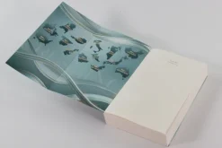 Loewe Verlag GmbH Sports Romance*Crushing Souls (Driven Dreams-Dilogie, Band 1)