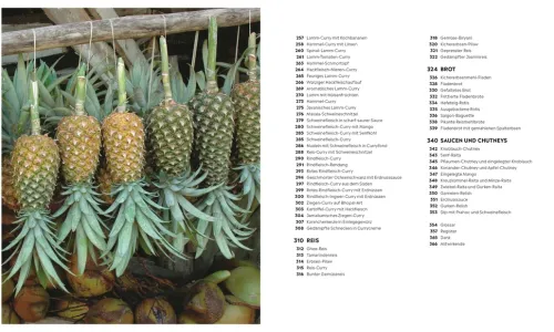 Dorling Kindersley Verlag Grundkochbücher & Lexika*Curry