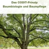 Haymarket Media GmbH Umweltwissenschaft-Das CODIT-Prinzip - Baumbiologie und Baumpflege