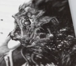 DAS ENDE DER WELT WIE WIR SIE KENNEN*Buchheim Verlag Hot