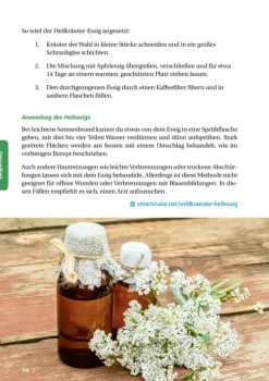 smarticular Verlag Nachhaltigkeit-Das Essig-Handbuch