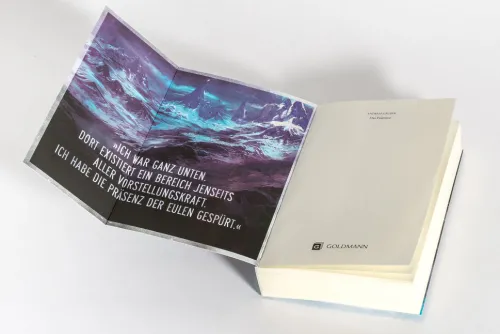 Das Eulentor*Goldmann TB Hot