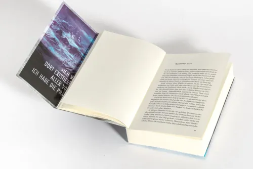 Das Eulentor*Goldmann TB Hot