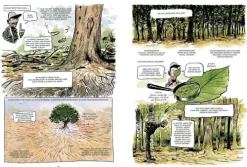 Das geheime Leben der Bäume*Ludwig Verlag Discount