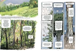 Das geheime Leben der Bäume*Ludwig Verlag Discount