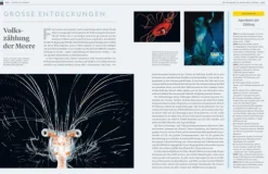 NG Buchverlag GmbH Karten & Atlanten-Das große Buch der OZEANE