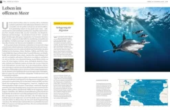 NG Buchverlag GmbH Karten & Atlanten-Das große Buch der OZEANE