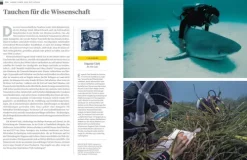 NG Buchverlag GmbH Karten & Atlanten-Das große Buch der OZEANE