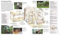 Dorling Kindersley Verlag Nachhaltigkeit-Das große Buch der Selbstversorgung