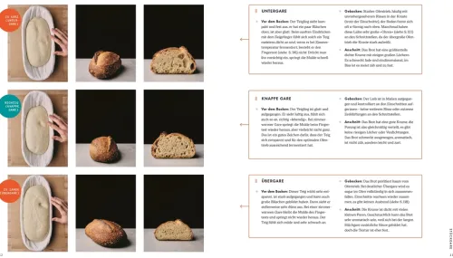 Das große Buch vom Sauerteig*Dorling Kindersley Verlag Clearance