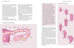 Das große Buch zur Schwangerschaft*Graefe und Unzer Verlag Outlet