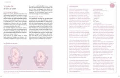 Das große Buch zur Schwangerschaft*Graefe und Unzer Verlag Outlet