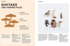 Knesebeck Von Dem GmbH Vollwertküche|Kochbücher Nach Ländern*Das große Handbuch der japanischen Küche