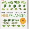 Dorling Kindersley Verlag Gesundheit-Das große Lexikon der Heilpflanzen