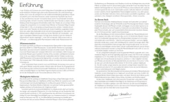 Dorling Kindersley Verlag Gesundheit-Das große Lexikon der Heilpflanzen