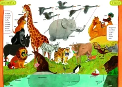 Bibliograph. Instit. GmbH Quali Trainer·Grundschule*Das Grundschulwörterbuch Englisch