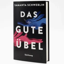 Suhrkamp Verlag Horror Gegenwart*Das gute Übel