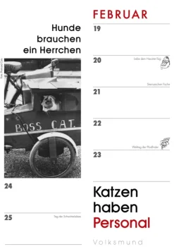 Das Jahr mit Katzen*Schoeffling + Co. Hot