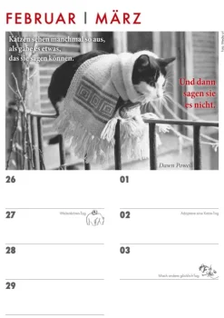 Das Jahr mit Katzen*Schoeffling + Co. Hot