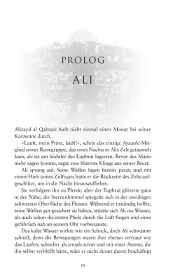 Panini Verlags GmbH Historische Fantasy*Das Königreich aus Kupfer