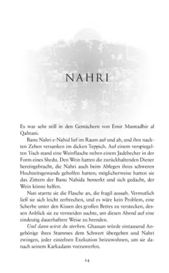 Panini Verlags GmbH Historische Fantasy*Das Königreich aus Kupfer