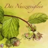 Kinder Edition Seeigel Kinder- & Jugendbücher·Märchen & Sagen-Das Nusszweiglein,1 Audio-CD