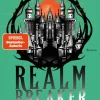 Das Reich der Asche - Realm Breaker 1*Blanvalet Taschenbuchverl Online
